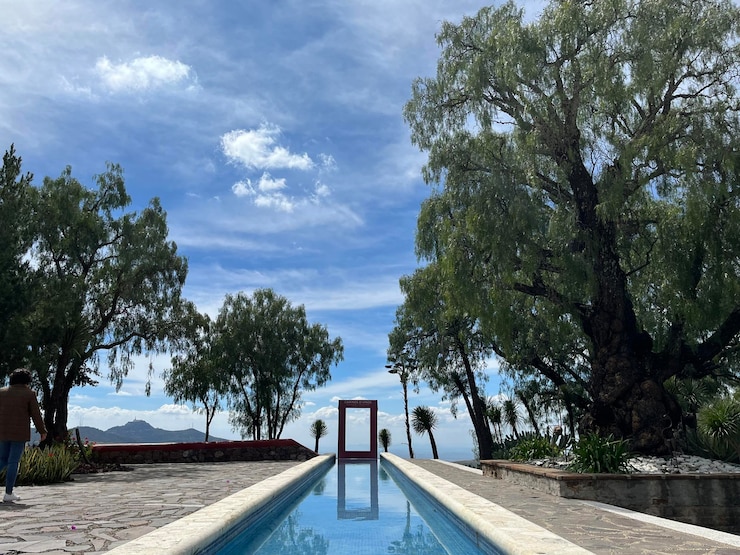 Serene Cove Services